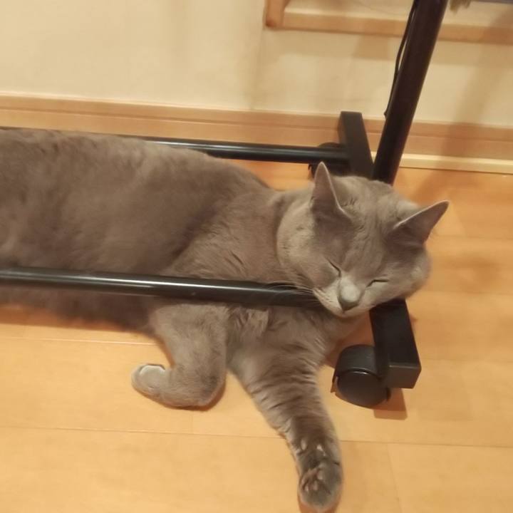 253436ec 10a8 43f3 9238 227396c16eff 1558791625255