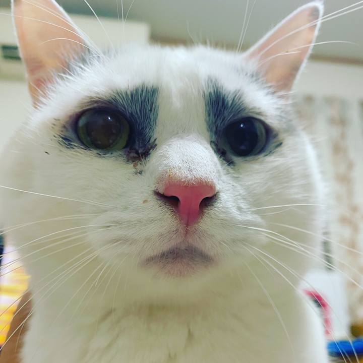 253471be 0107 4864 ac93 55948fd85164 1581516730428