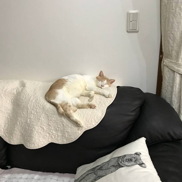 253474ab 47ba 4cc0 8a64 0a496b1925a5 1514036585444