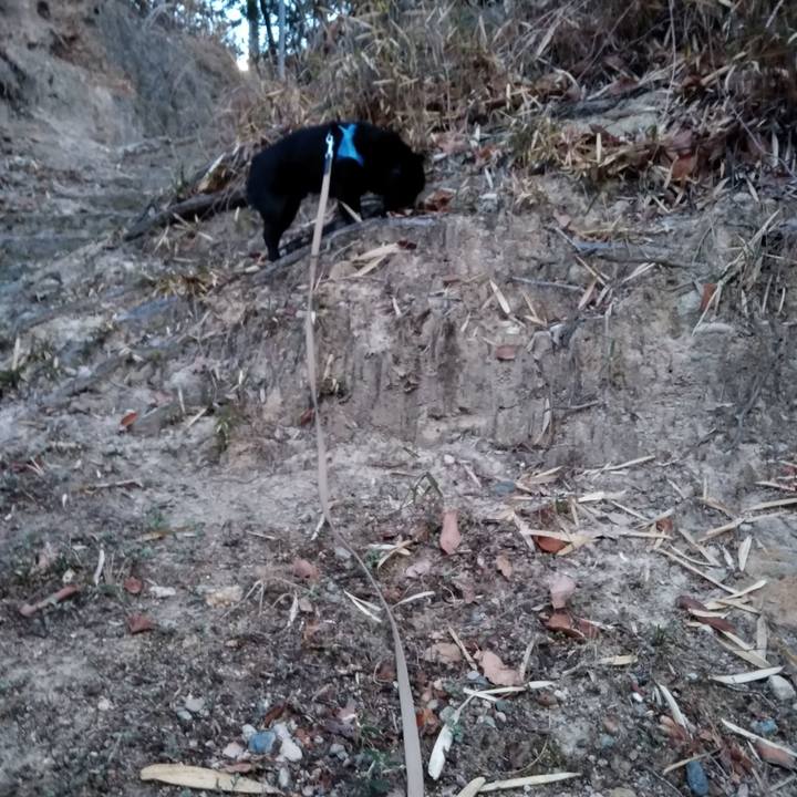 25347e32 15a1 4574 aed9 8b9870f90b8f 1550789791984