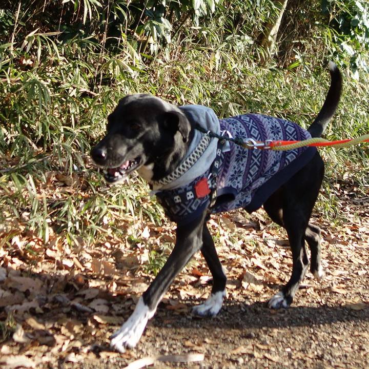 2534cb3a 0248 469e 9487 5c78a7c27a3e 1581553296179