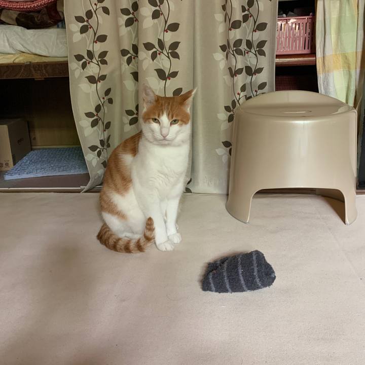 2534d38d 5bc3 461e acde 2d77ac31618c 1594346742535