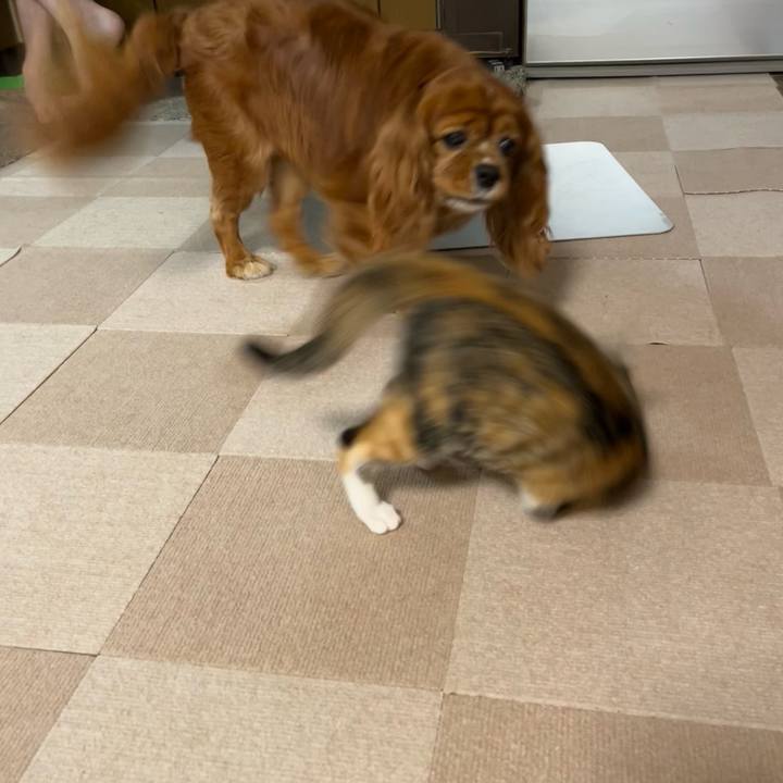 2534d3fe 69f1 4387 b30d dfa654e06c9c 1655331137620