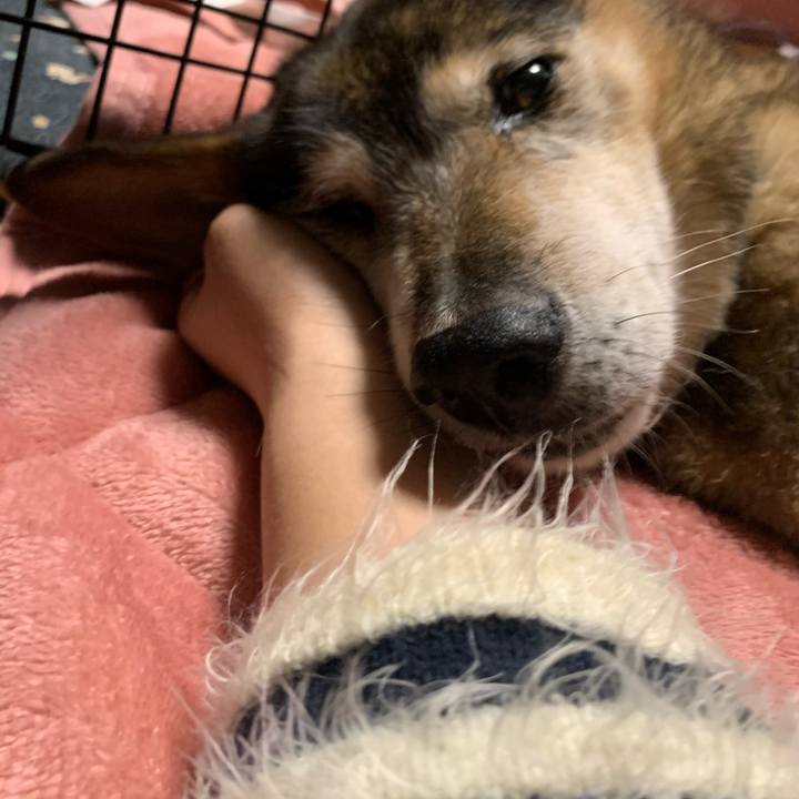 2534ed62 d9a5 4f8b b069 f336809eba63 1579127518480