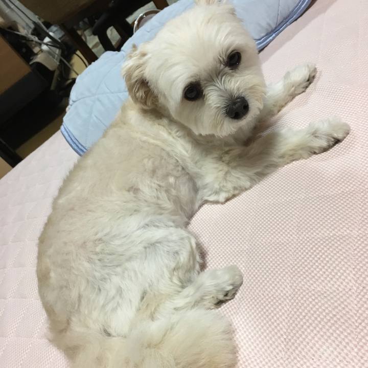 253519c1 44c3 400d 835a 7cf899e4d510 1562065183077