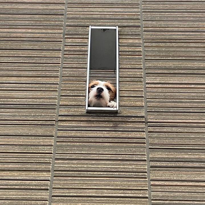 25351cb0 bf64 4d15 be89 f705cbd0bc6f 1771052782403