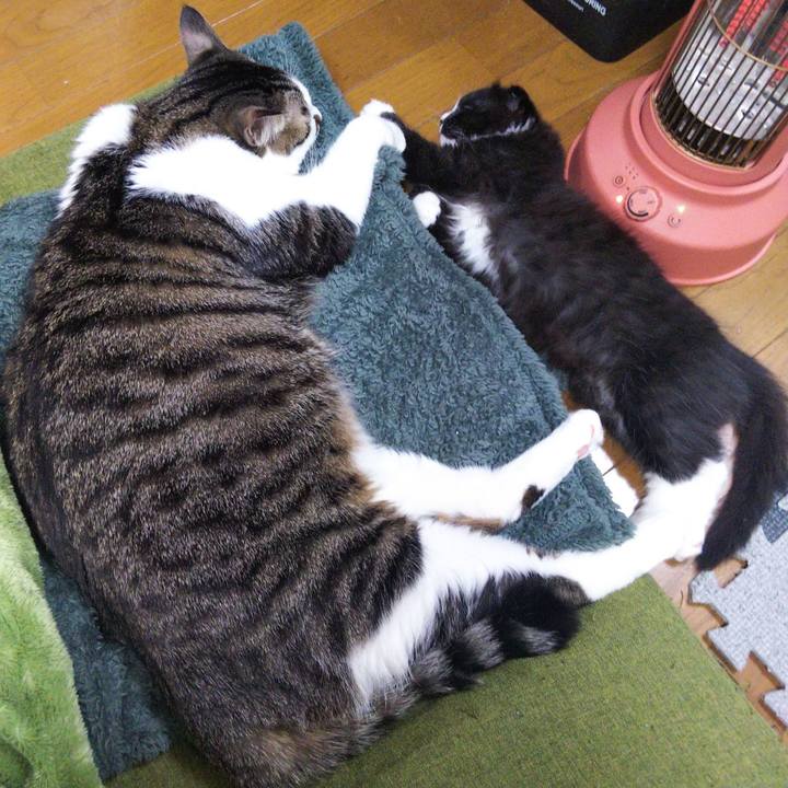 25352396 76c6 4d64 be8b ad69dc7d3671 1639910411579