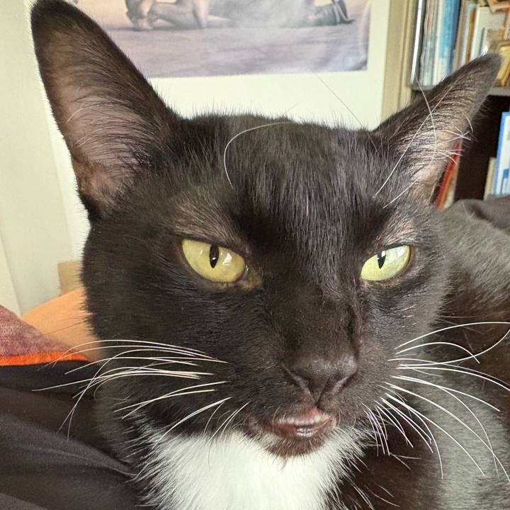 2535466e eeb2 4991 a773 fd59061b58c0 1759974270186