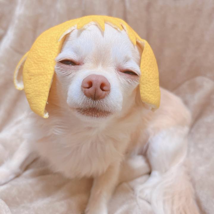 25354ba2 013a 4a03 a8d1 7173f1450634 1674300253138