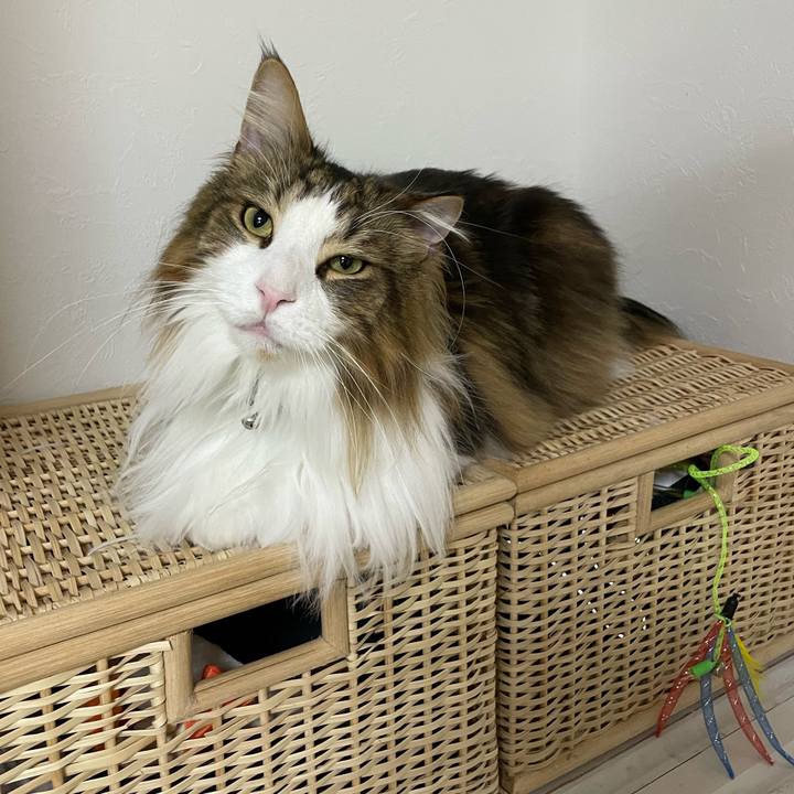 25355f11 eb95 46a2 9895 6d250b3de86d 1676317642658