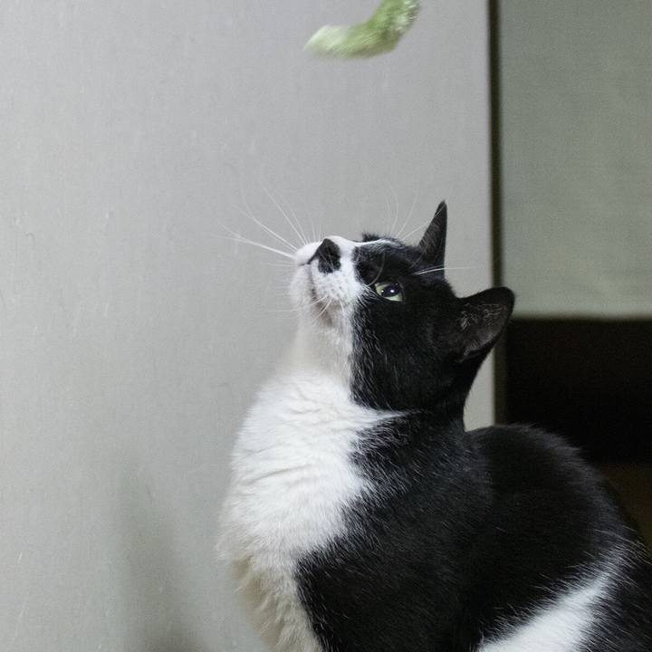 2535803d 8b35 424e af77 affa46eeafe5 1556072553725