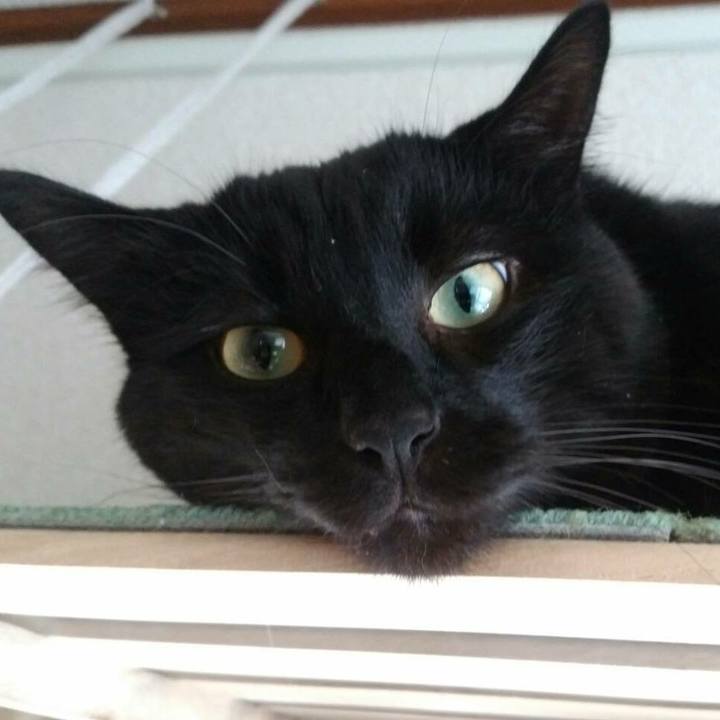 2535a7bd 4f0e 463d 9ad1 0923efceca41 1512272244630