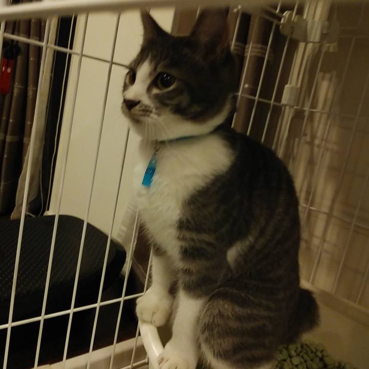 2535aa60 1aa1 4809 a444 51b230be2c53 1568899412830