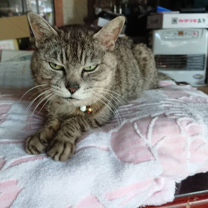 2535fe60 cf38 458f b1c1 62b48665349f 1591567045953