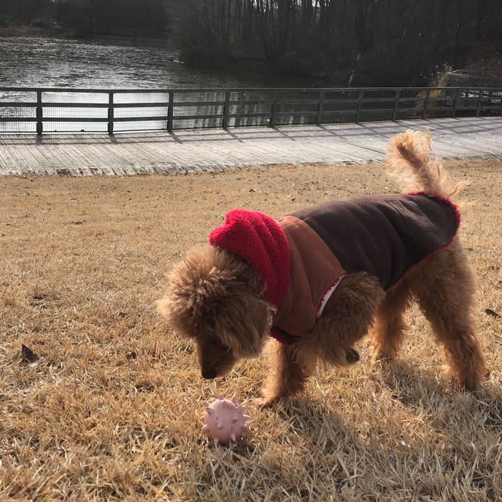 25362580 ec53 43f0 9c67 5f49a6b5748f 1547391753463