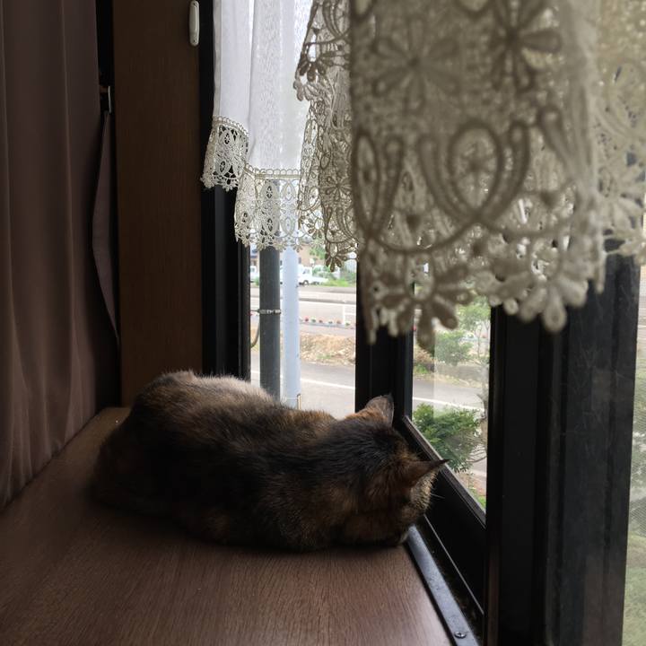 253628bb fa63 4979 b00d 46078e78738c 1527640209426