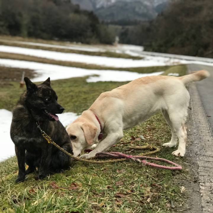 25365c70 3709 42d0 8a63 6746a1a76626 1519430227452