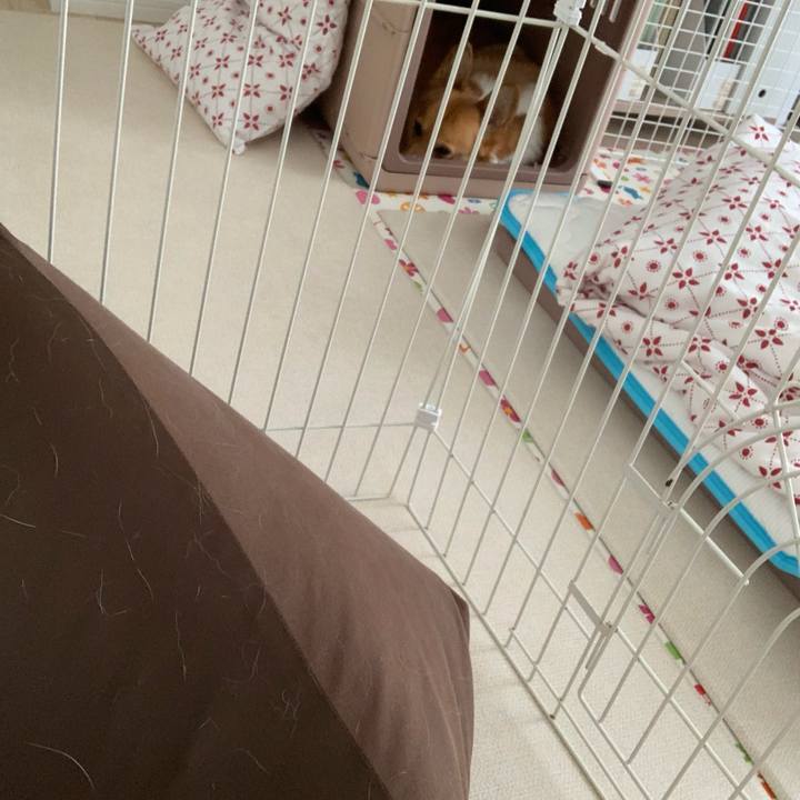 25366701 97d3 4a20 b5db 3bd8618cbb75 1687259396840