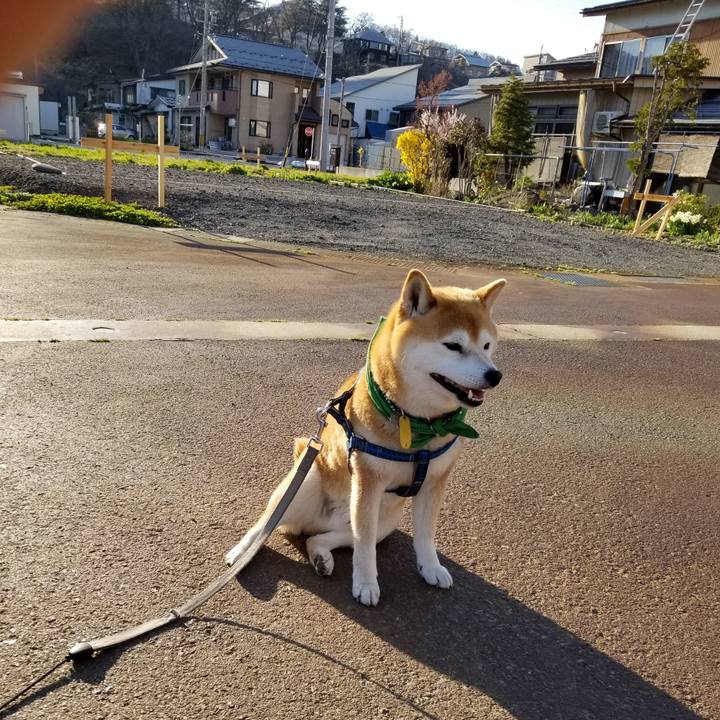 25366ea5 fc1a 457f 8d83 d28beda67192 1555401479911