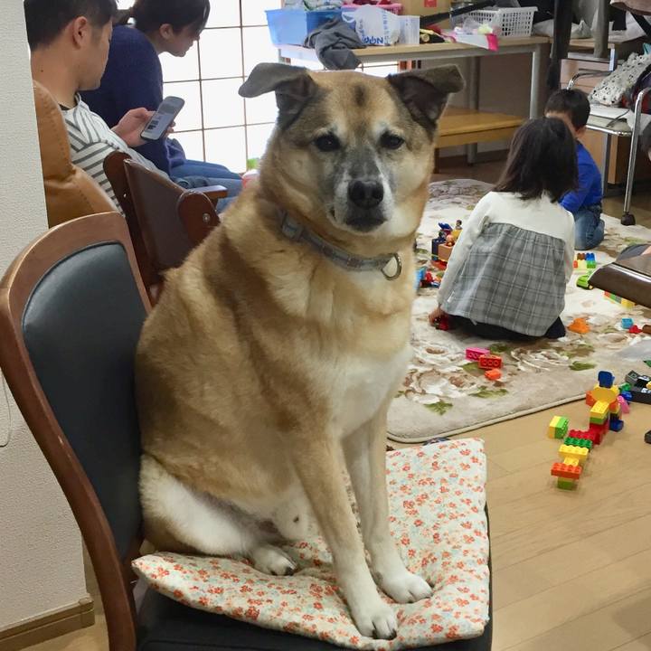 2536c6fa c44b 4a52 9003 3361b7a5271c 1577885629979