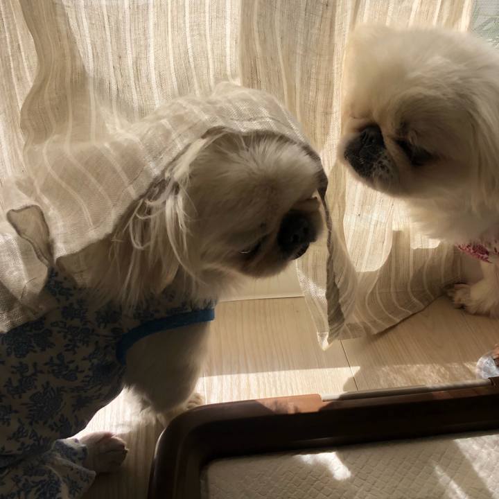 2536e787 9b1c 417c b183 8e254e727d24 1540084856943