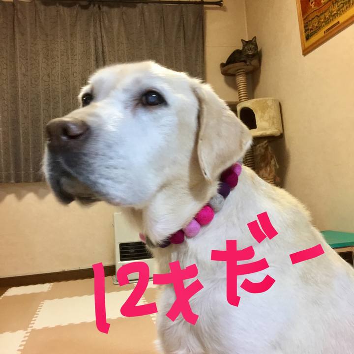 2536f3d3 e24f 4fcf b477 aca7efa30f15 1511523403467