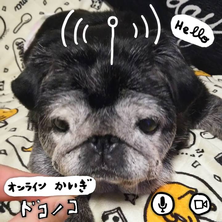 25372d94 0063 4284 9f8f e0ce031afe36 1590726150662