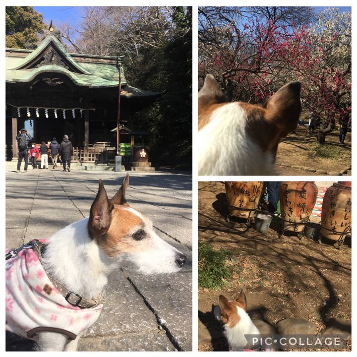 25373c06 9d0e 4694 872e bbe51bbe46d2 1614554751894