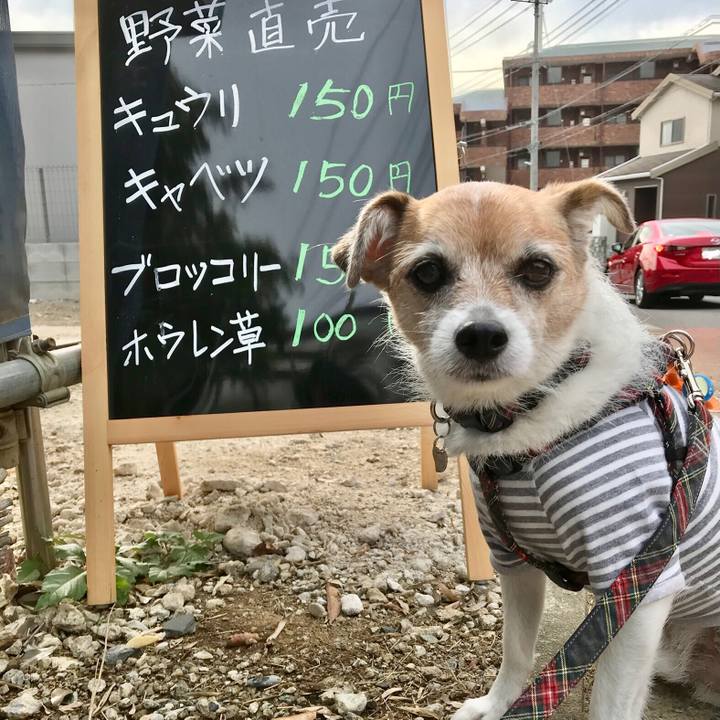 25375ccc 9154 427a 85e3 281dd80395c9 1603846855681