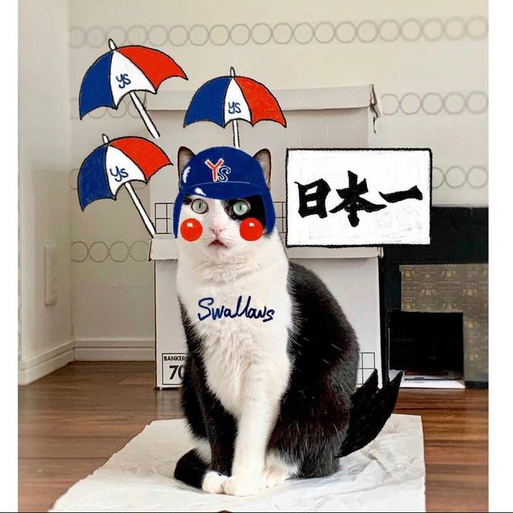 25376133 eefd 4127 ab72 620cb1cf4d68 1638027705565