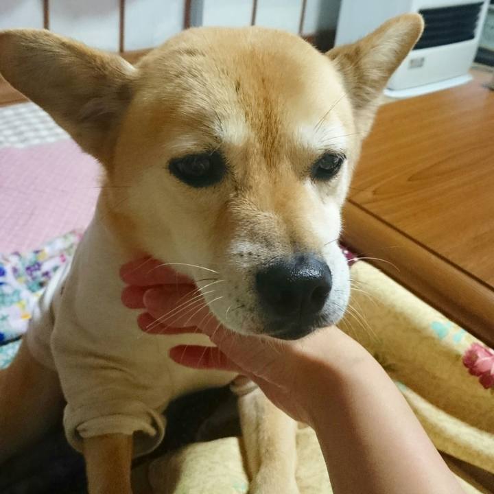 25376bdc 259c 444f abbb d04f17425bd7 1556961525887