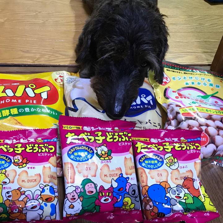 253787b6 d29c 402e a661 8709dc00a9fc 1537022722323