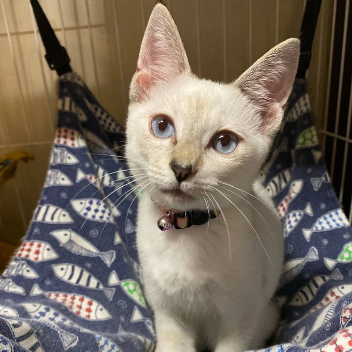 25378f39 6af2 4197 a806 f5014d31ca98 1628944069325