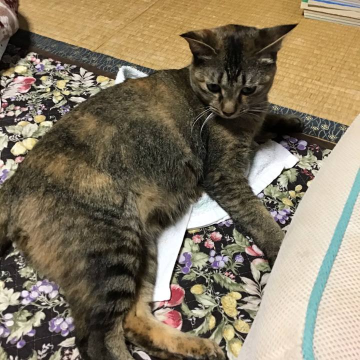 2537eb4e a397 4251 9124 127227d8a703 1595710279880