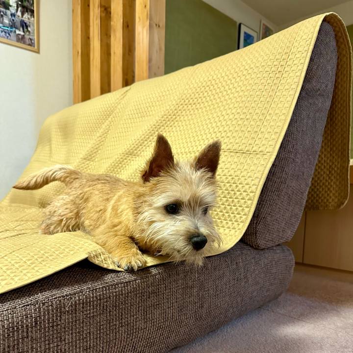 25380de2 a1df 4234 8c26 287e17359751 1708869858971