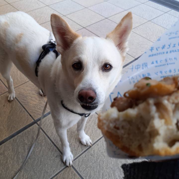 25381270 e45d 4d7d ab24 347e411be5ea 1668220306989