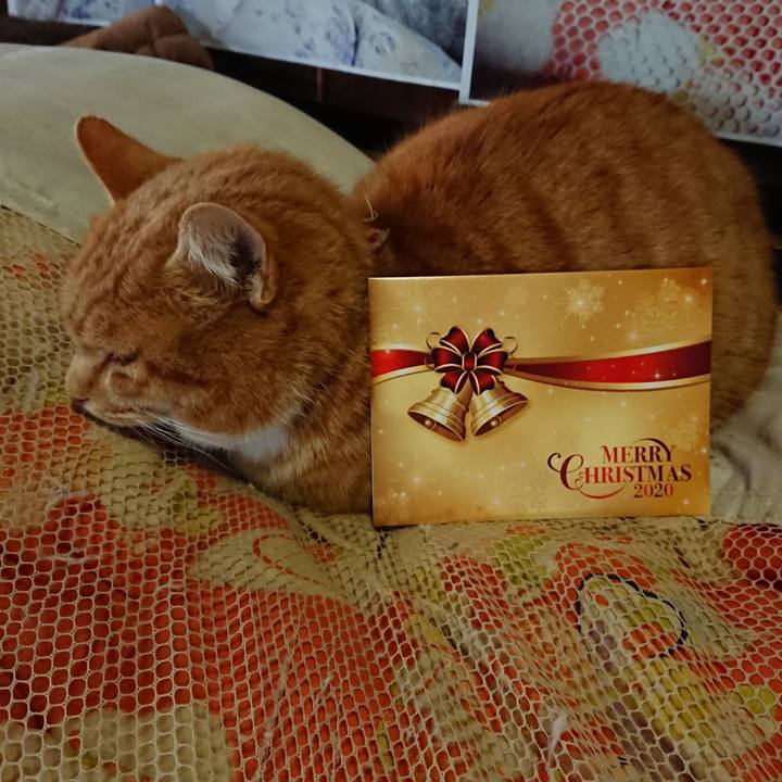 25381c71 6a52 4615 90df 5e0920f1df21 1608341759900