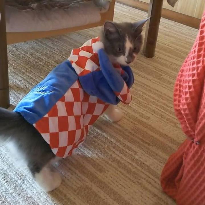 25386363 46cf 4547 8f20 5bd59e3ce31e 1599303326202