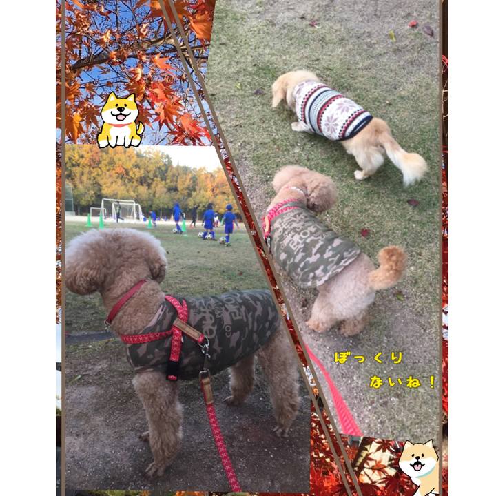 25386885 199e 4ae5 91e3 570f7a682a26 1541580034498