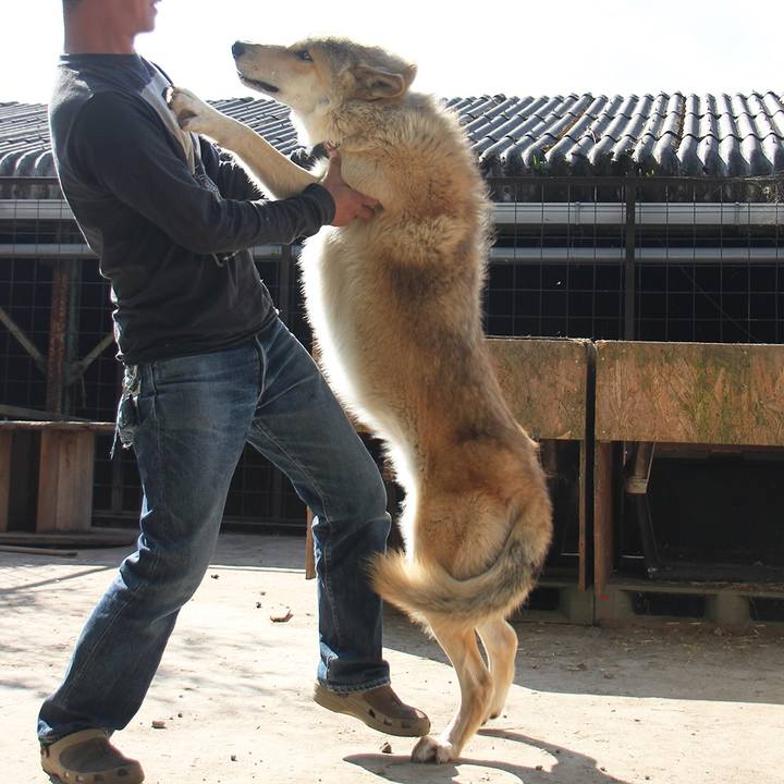 25387623 45ec 4db0 b267 613e6eea9889 1542465129469