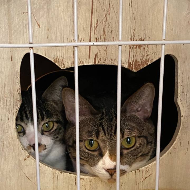 25387914 c486 470a 9ac6 cb180cf712d6 1700955103791