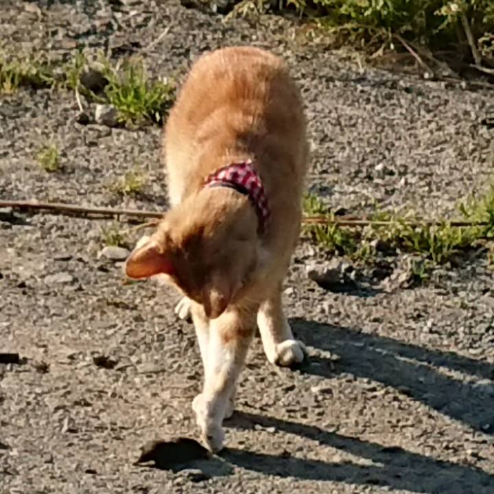 25388799 90bc 4327 ae0a f20320d5f9dd 1558762842848