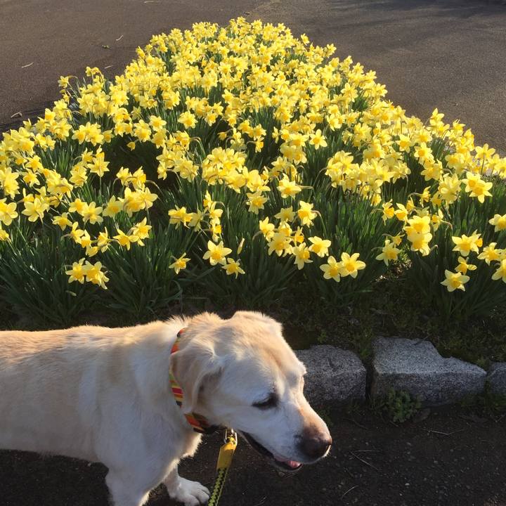 2538c27b e29c 4fd3 ae70 6b98a143762f 1553687106405