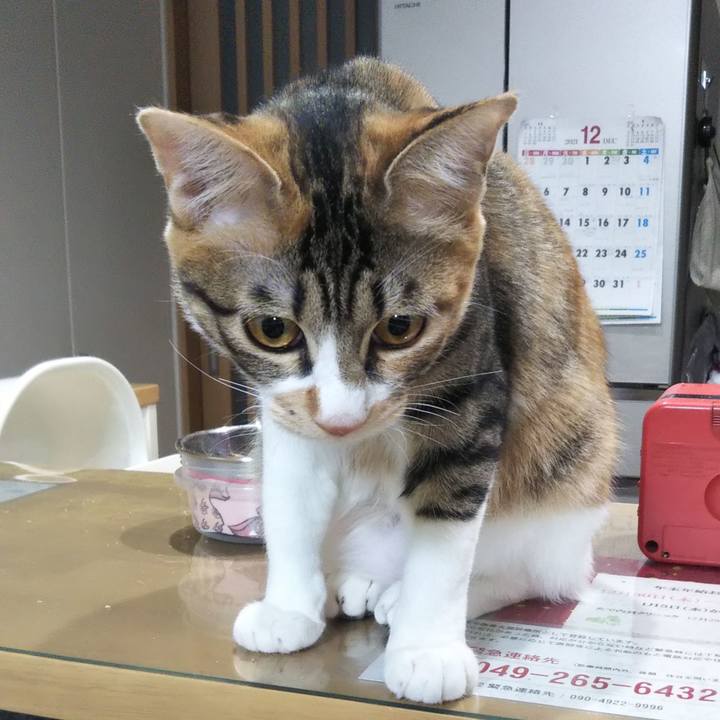 2538c834 e935 46e1 8ba6 3c7a9b21ea5d 1640644296976