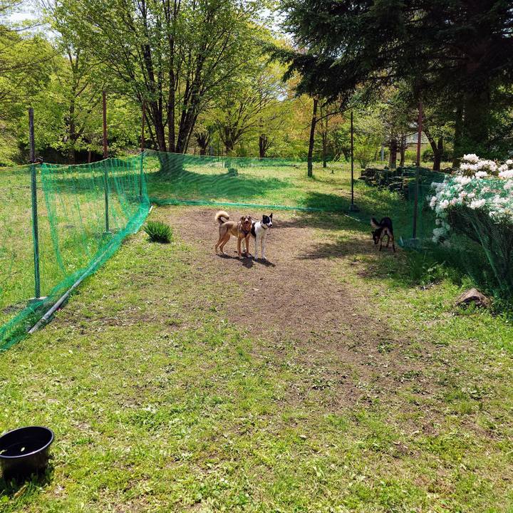 2538d882 acdd 4f74 b242 9c4e68a3e068 1746417253566