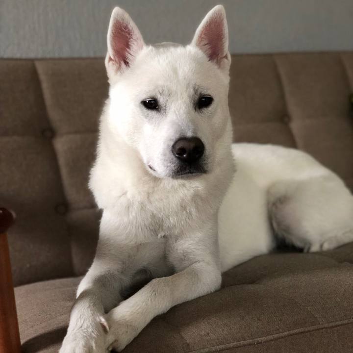 2538e7dd 7d92 4bb2 b733 a155c8075e9c 1550533567304