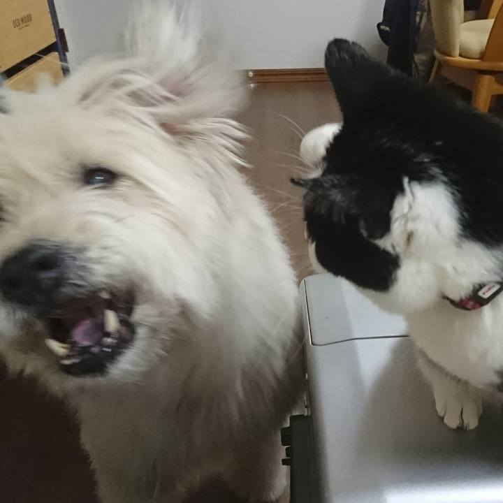 2538f08a dbf9 4836 89c1 9a13f70bdd59 1579430136830