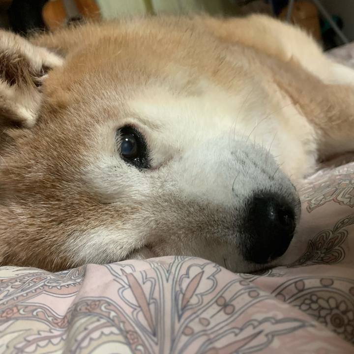 253918d9 f6e4 45a8 8efc 8eeb0d31c210 1635061393774