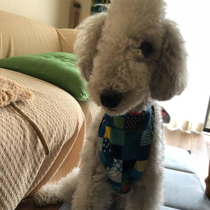 2539249e 9fcb 4faa aa59 8966d164c8ae 1592637892659