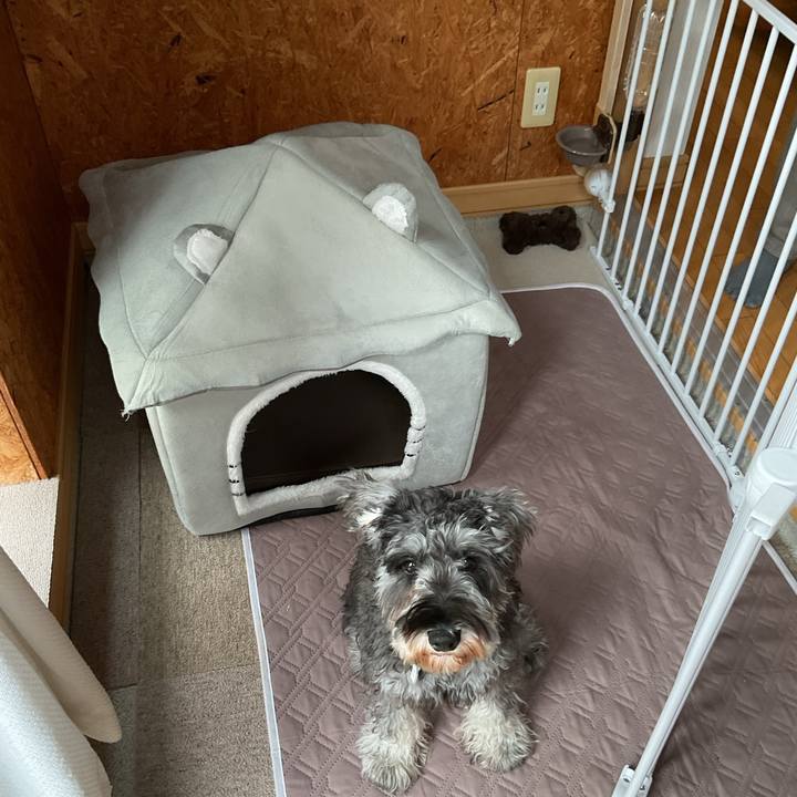 2539688d 1e2c 482e 919b dbac37d24563 1761646166933